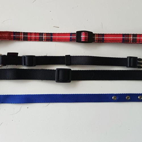 Set of 4 small dog collars