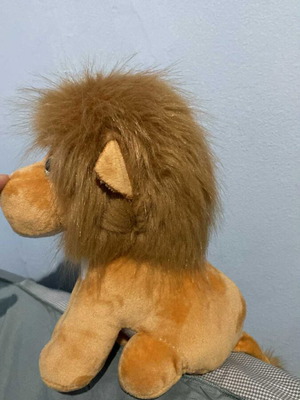 Lion Teddy Bear like new
