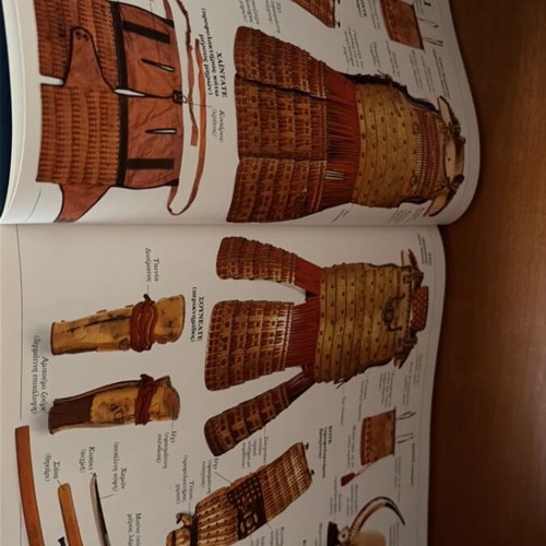 Illustrated Dictionary of Military Uniforms