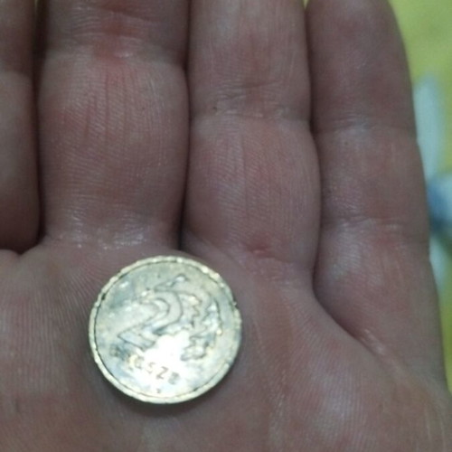 Polish 2 Groszy Coin 2009 used
