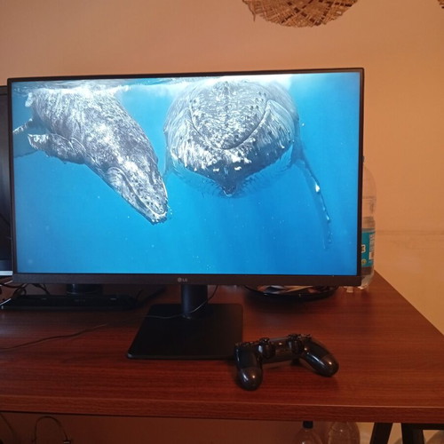 LG 27" Full HD IPS Monitor 27MP450-B