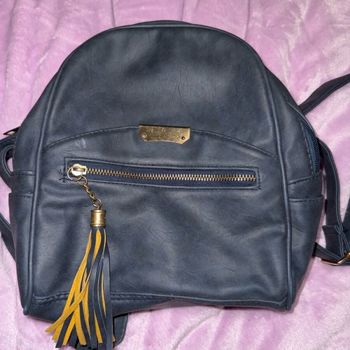 Blue backpack used with minor marks