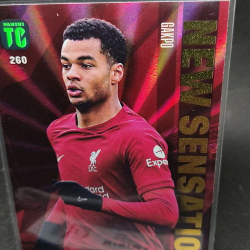Gakpo New Sensation collectible card like new, Panini Top Class