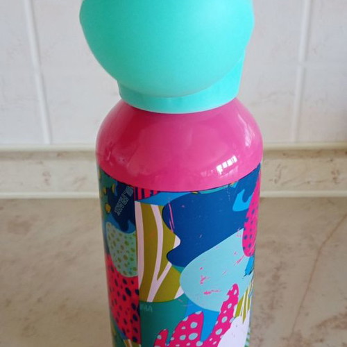Paul Frank insulated bottle used with signs of wear