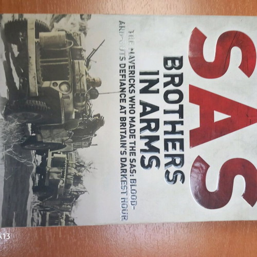 Book SAS Brothers in Arms by Damien Lewis like new