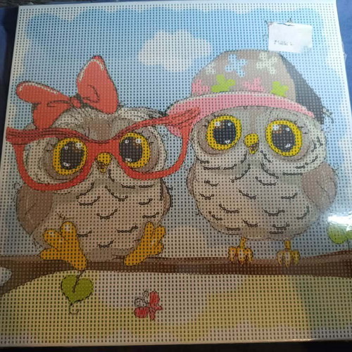 Diamond Painting Canvas Owls new 30x30