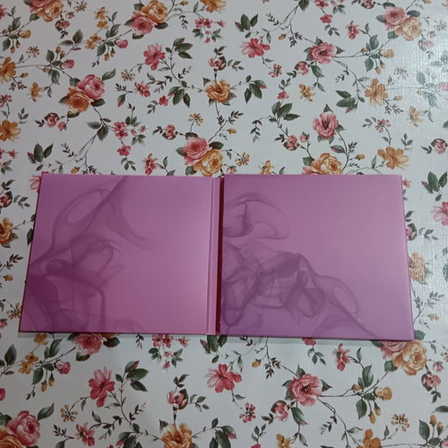 Puppy The Goat debut album CD like new, rock