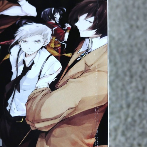 Bungo Stray Dogs Volume 2 manga like new, English edition