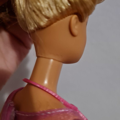 Barbie with Fashionistas dress used