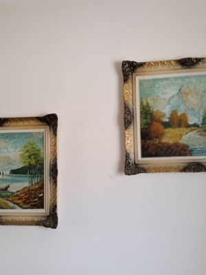 Oil paintings with embossed brushstrokes, set of 2, framed