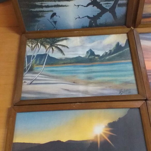 Vintage framed prints used, set of 6 with wooden frame and matte plastic glass