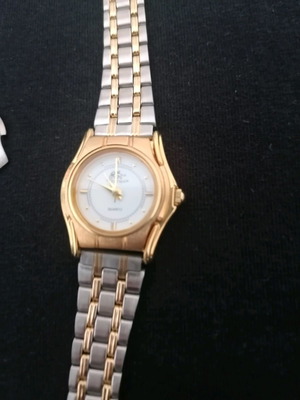 Women's quartz watch new with interchangeable color parts