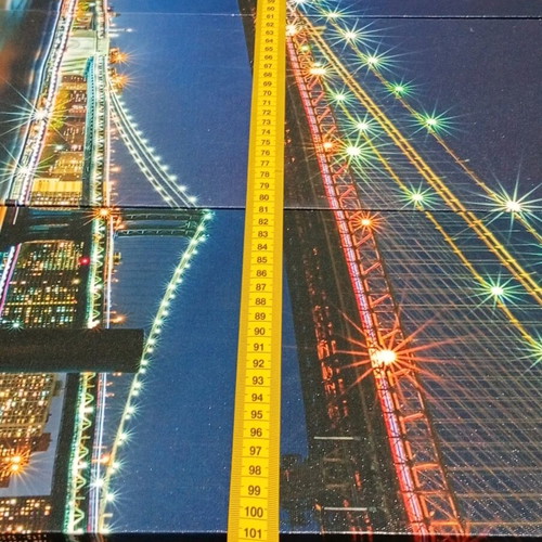 5 Piece Canvas Picture Like New