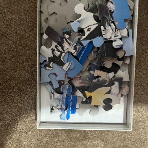 Animal puzzles used, pack of 2 (Big cats and penguins)