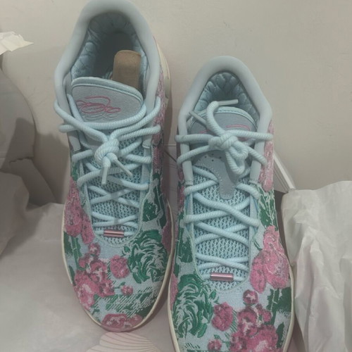 Nike LeBron xxi prm shoes new, size 46