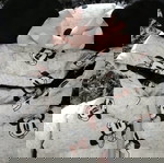  Μπουφαν