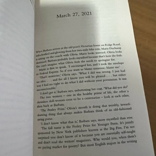Holly book by Stephen King like new, horror, English