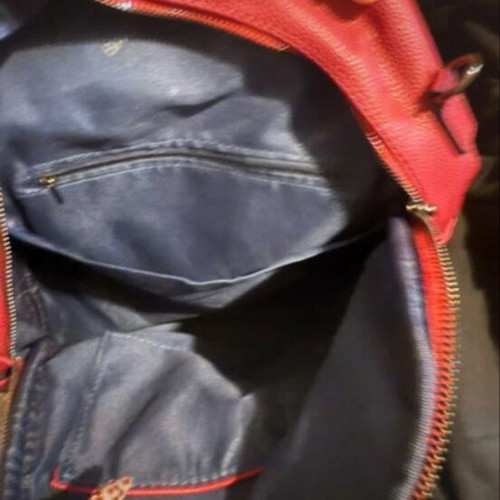 Bag to Bag backpack new