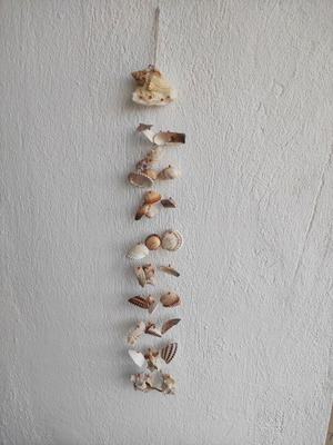 Dreamcatcher made of shells new