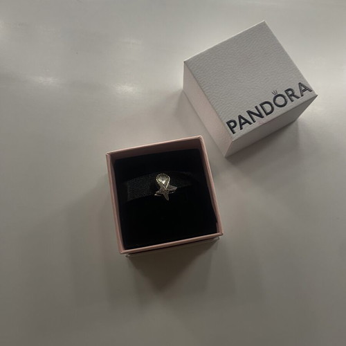 Charm new, compatible with Pandora bracelet, silver color