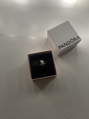 Charm new, compatible with Pandora bracelet, silver color