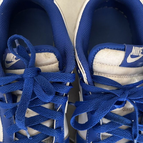 Nike Dunk Low Retro sneakers used, size 42.5, white and blue