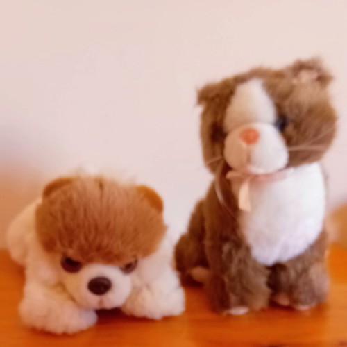 Signature Cuddle Puppy Pomeranian and Bula Cat plush toys like new