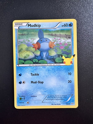 Mudkip Pokemon Card McDonalds 2021 new