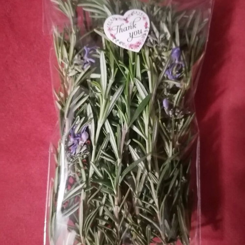 Fresh rosemary organic, pesticide-free