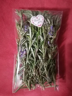 Fresh rosemary organic, pesticide-free