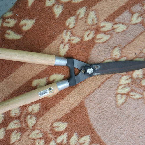 Pruning shears used, garden scissors