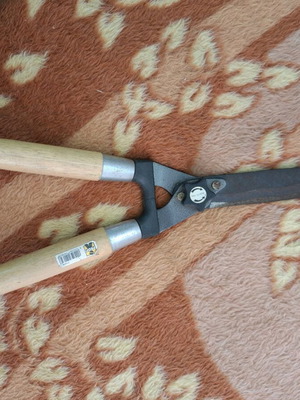 Pruning shears used, garden scissors