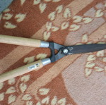 Pruning shears used, garden scissors