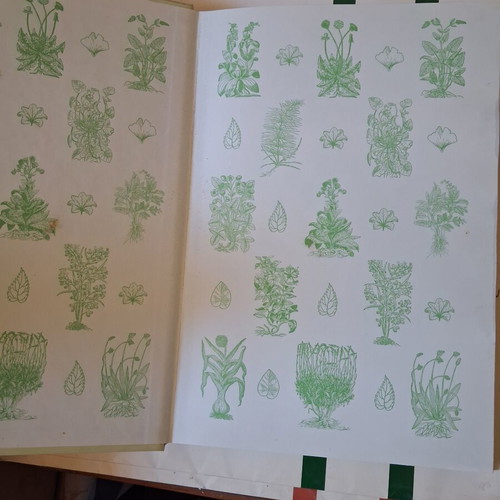 The Herb Society's Complete Guide to Medicinal Herbs by Penelope Ody like new, Greek edition