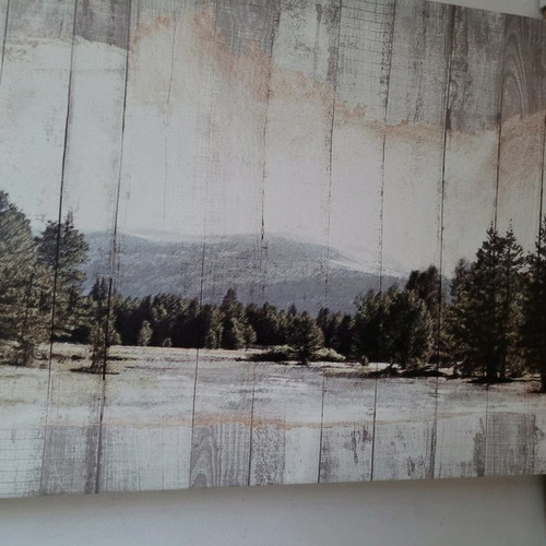 Painting snowy landscape with mountains and trees