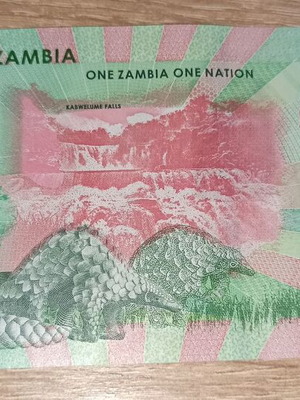 Zambia 10 Kwacha 2024 new