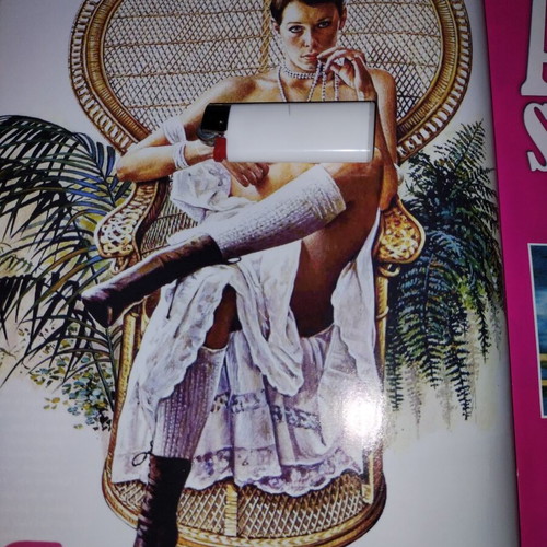 The Revolution of the People Over the Minister's Wife DVD like new, subtitles