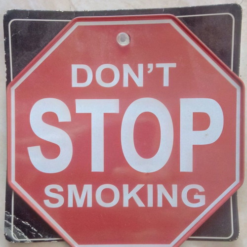 Decorative sign used with suction cup