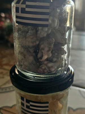 Jars with seashells like new, set of 2 for crafts
