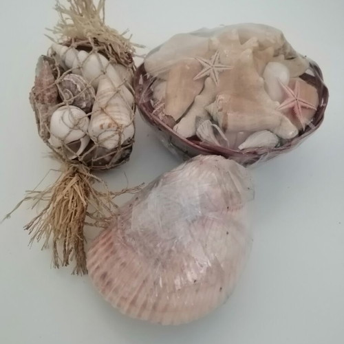 Decorative seashells set with bamboo basket and natural shells
