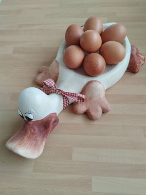 Easter ceramic duck egg holder used, holds 7 eggs