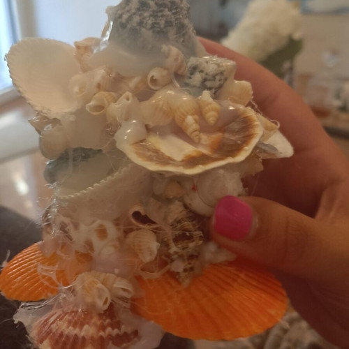 Shell jewelry stand new