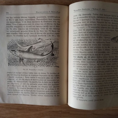 Zoology Handbook used school textbook 1964