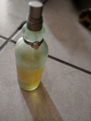 Ocean Dream Giorgio Beverly Hills vintage μεταχειρισμένο άρωμα