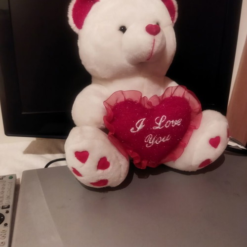 Plush teddy bear with heart
