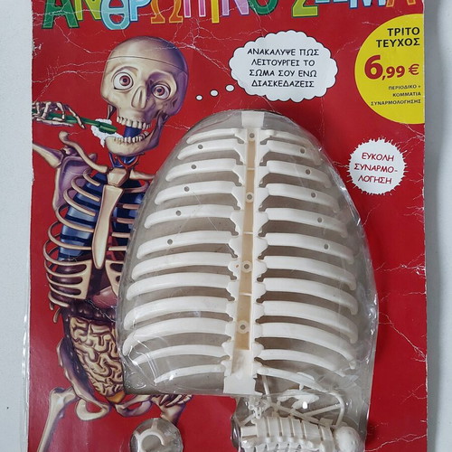 Discover the Human Body Magazine Issue 3 sealed