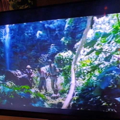 Οι Κυνηγοί της Χρυσής Κόμπρας VHS σαν καινούργιο, δράσης περιπέτεια