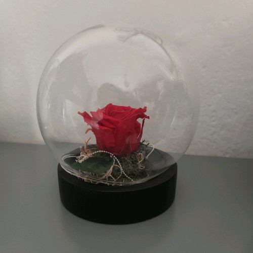 Forever rose decorative rose used