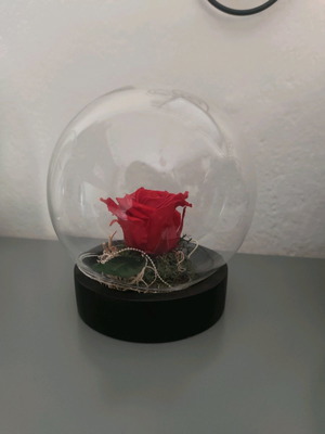 Forever rose τριαντάφυλλο διακοσμητικό μεταχειρισμένο