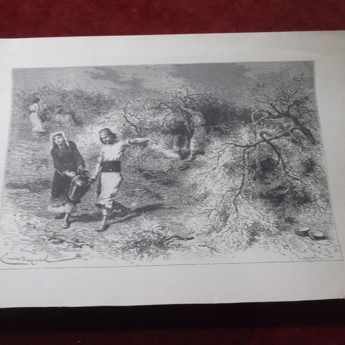 Chios Island engraving used, mastic collection